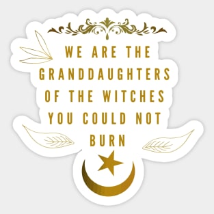 We are the granddaughters of the witches you could not burn Sticker